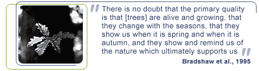 Woodland quote