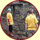 Volunteers planting pond